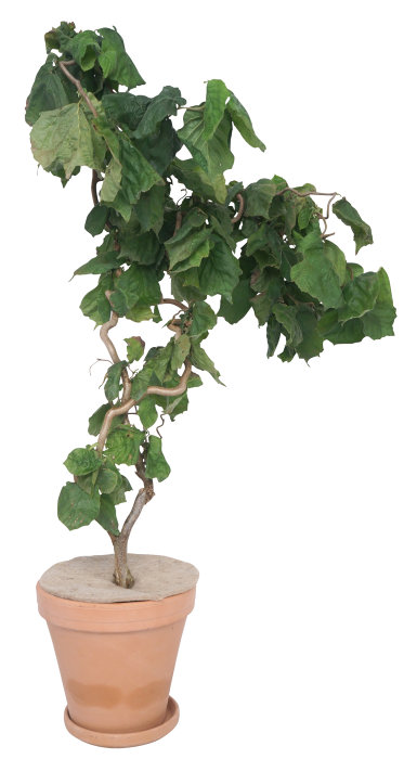 Juteskiva Ø34 cm Garden